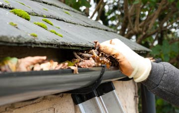 gutter cleaning Cadzow, South Lanarkshire